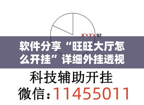 软件分享“旺旺大厅怎么开挂”详细外挂透视辅助软件教程