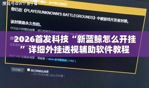 2026首发科技“新蓝鲸怎么开挂”详细外挂透视辅助软件教程