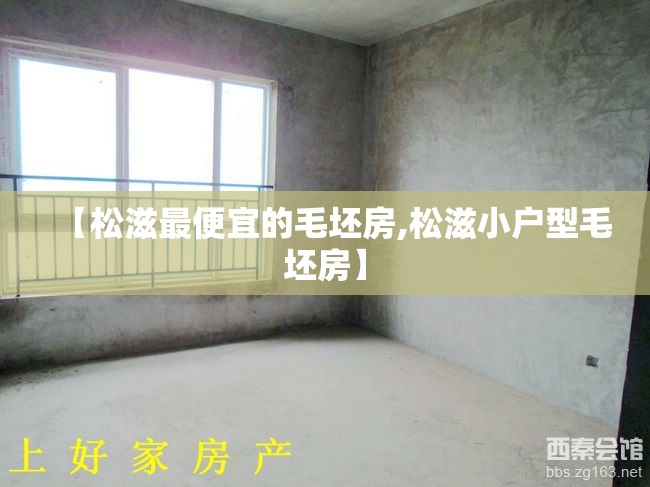 【松滋最便宜的毛坯房,松滋小户型毛坯房】