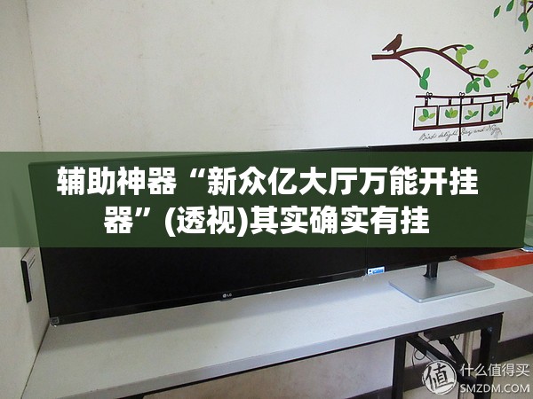 辅助神器“新众亿大厅万能开挂器”(透视)其实确实有挂