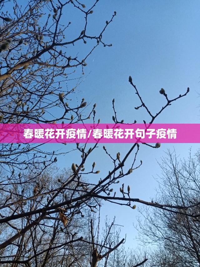 春暖花开疫情/春暖花开句子疫情 春暖花开疫情/春暖花开句子疫情