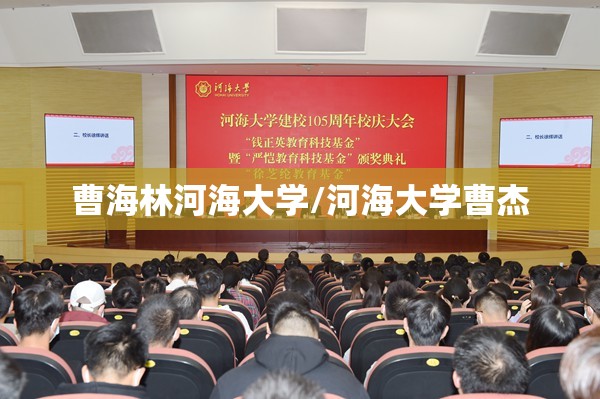 曹海林河海大学/河海大学曹杰