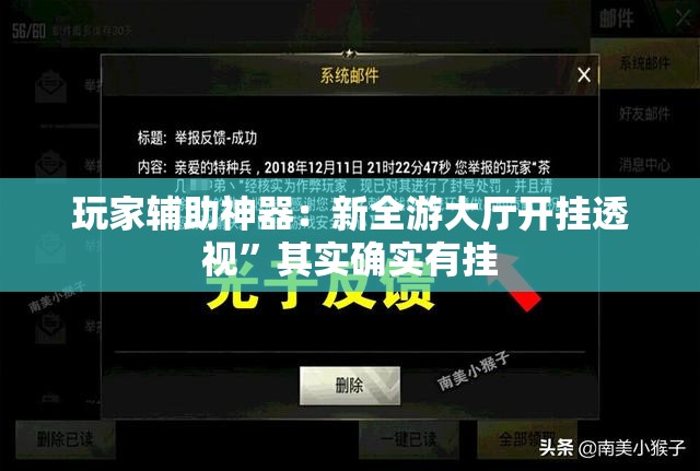 玩家辅助神器：新全游大厅开挂透视	”其实确实有挂