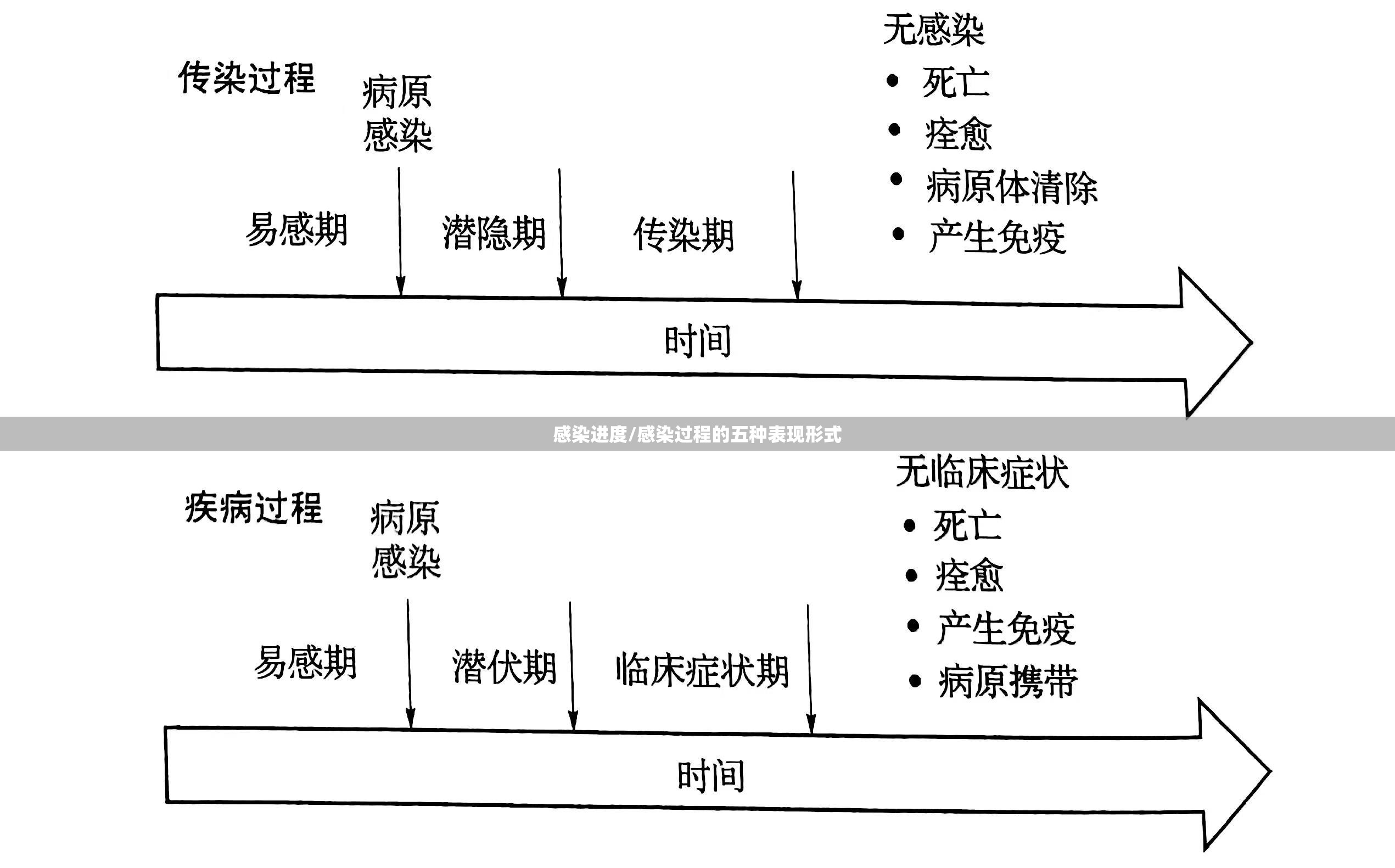感染进度/感染过程的五种表现形式 感染进度/感染过程的五种表现形式