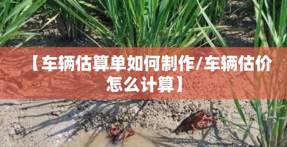 【车辆估算单如何制作/车辆估价怎么计算】
