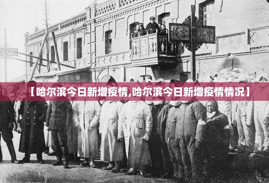 【哈尔滨今日新增疫情,哈尔滨今日新增疫情情况】