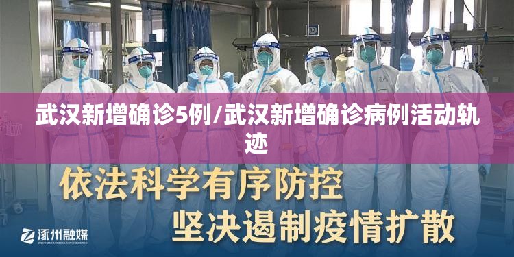 武汉新增确诊5例/武汉新增确诊病例活动轨迹 武汉新增确诊5例/武汉新增确诊病例活动轨迹