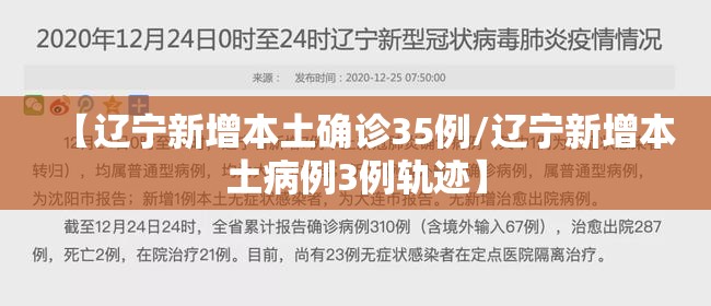 【辽宁新增本土确诊35例/辽宁新增本土病例3例轨迹】 【辽宁新增本土确诊35例/辽宁新增本土病例3例轨迹】