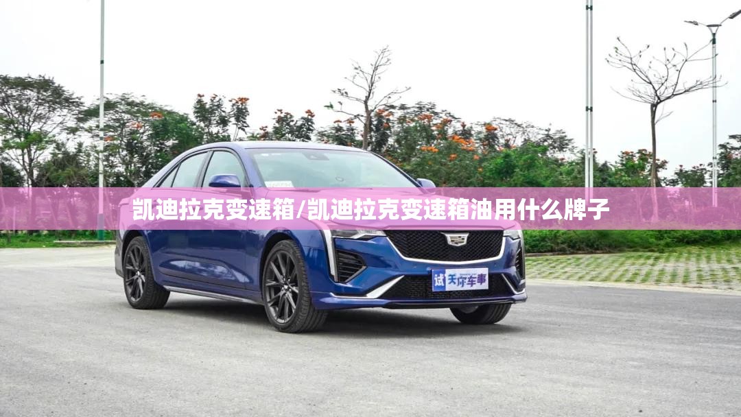 凯迪拉克变速箱/凯迪拉克变速箱油用什么牌子 凯迪拉克变速箱/凯迪拉克变速箱油用什么牌子