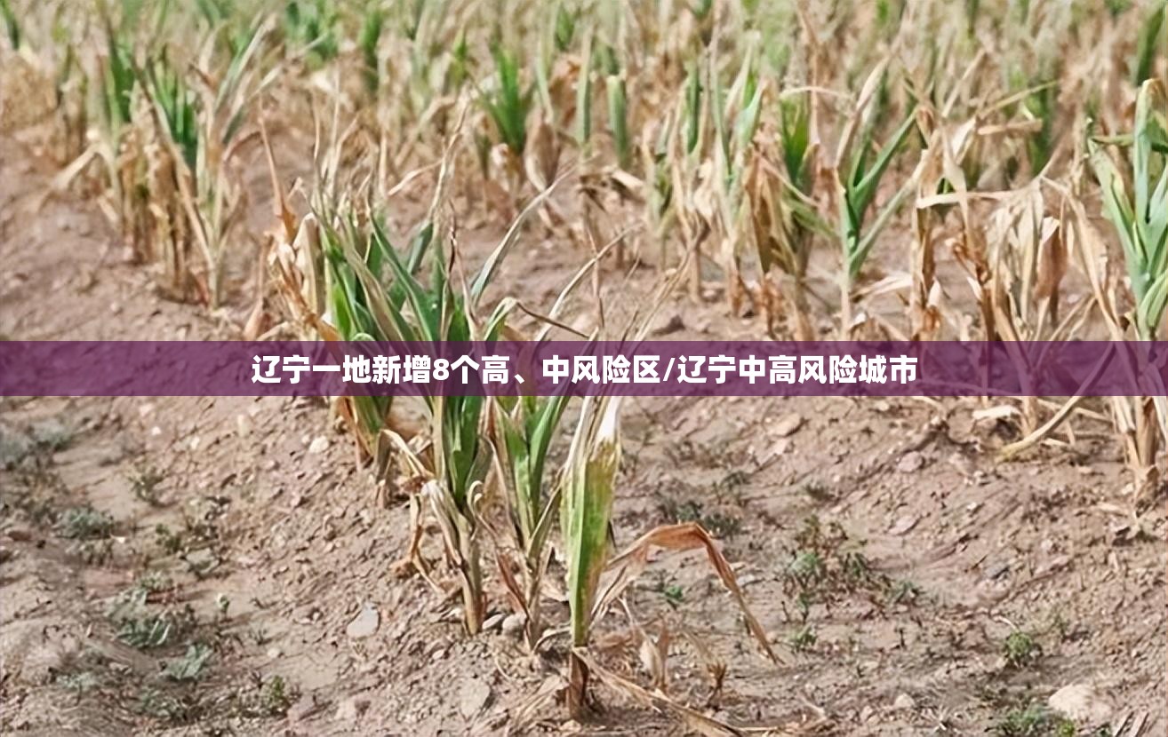 辽宁一地新增8个高	、中风险区/辽宁中高风险城市