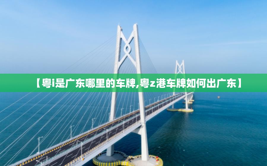 【粤i是广东哪里的车牌,粤z港车牌如何出广东】