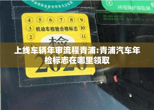 上线车辆年审流程青浦:青浦汽车年检标志在哪里领取
