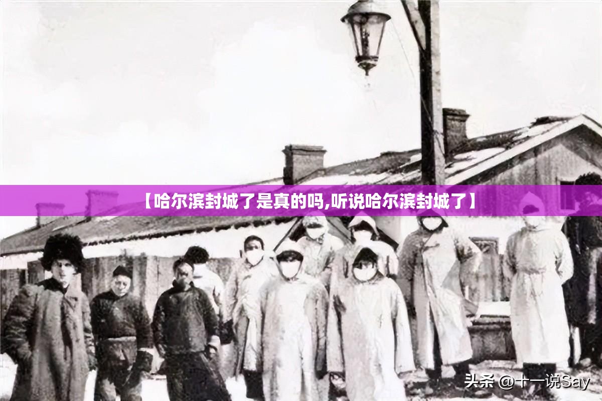 【哈尔滨封城了是真的吗,听说哈尔滨封城了】