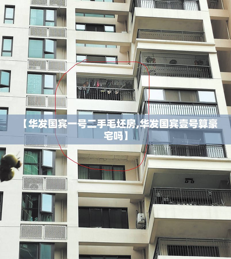 【华发国宾一号二手毛坯房,华发国宾壹号算豪宅吗】