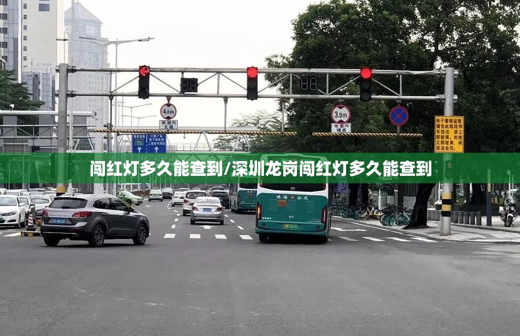 闯红灯多久能查到/深圳龙岗闯红灯多久能查到