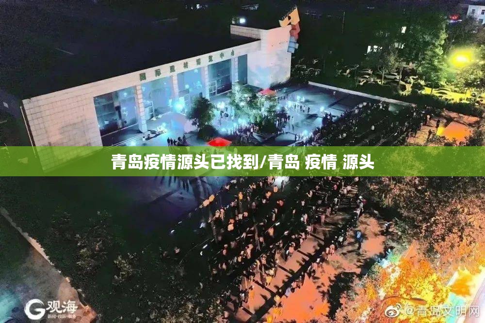 青岛疫情源头已找到/青岛 疫情 源头