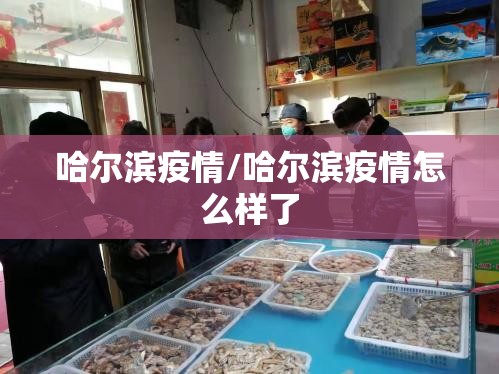 哈尔滨疫情/哈尔滨疫情怎么样了