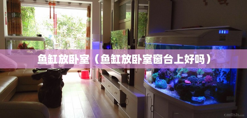 鱼缸放卧室(鱼缸放卧室窗台上好吗) 鱼缸放卧室(鱼缸放卧室窗台上好吗)