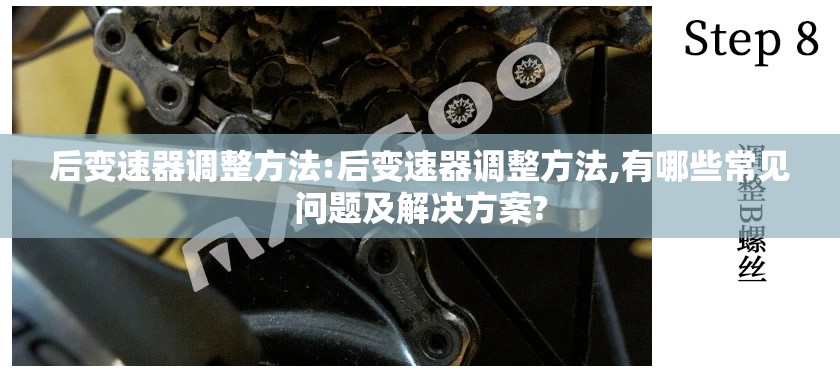 后变速器调整方法:后变速器调整方法,有哪些常见问题及解决方案? 后变速器调整方法:后变速器调整方法,有哪些常见问题及解决方案?