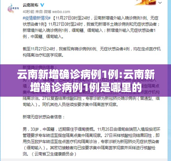 云南新增确诊病例1例:云南新增确诊病例1例是哪里的