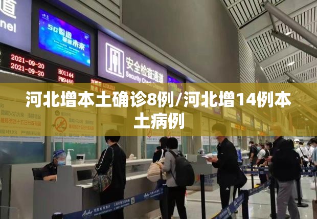 河北增本土确诊8例/河北增14例本土病例