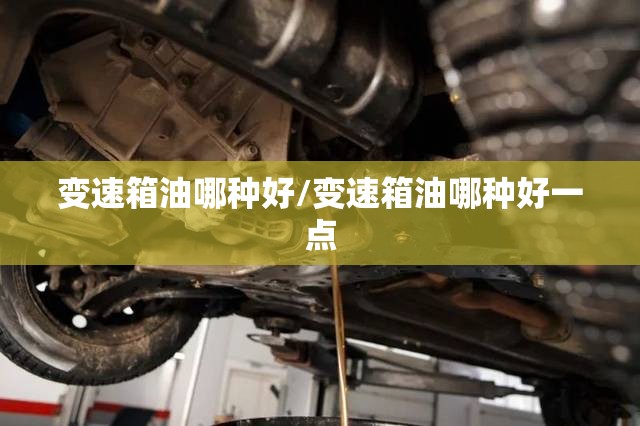 变速箱油哪种好/变速箱油哪种好一点