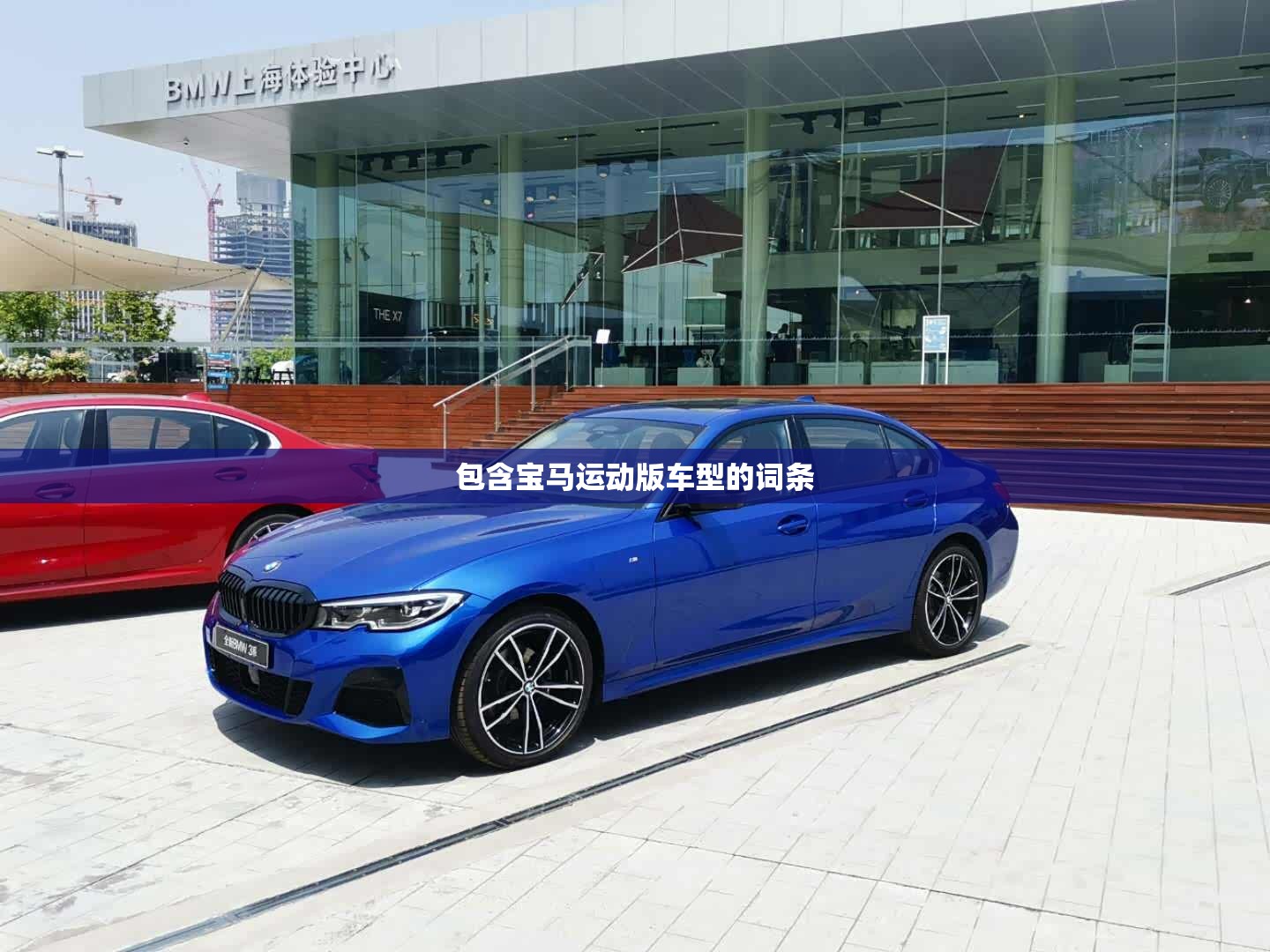 包含宝马运动版车型的词条