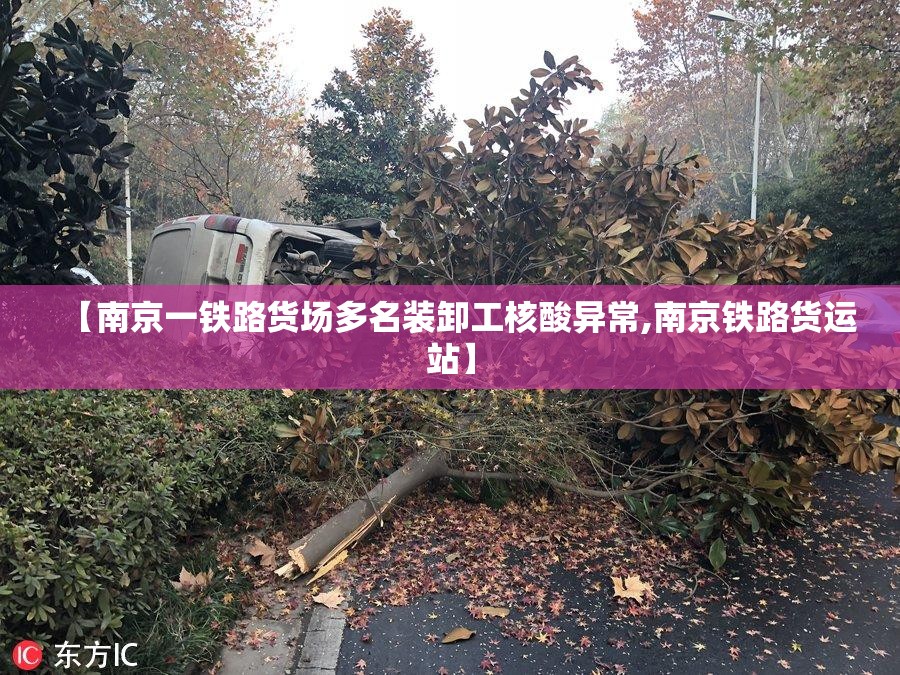 【南京一铁路货场多名装卸工核酸异常,南京铁路货运站】