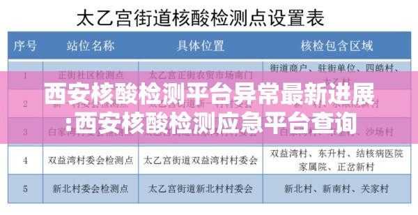 西安核酸检测平台异常最新进展:西安核酸检测应急平台查询