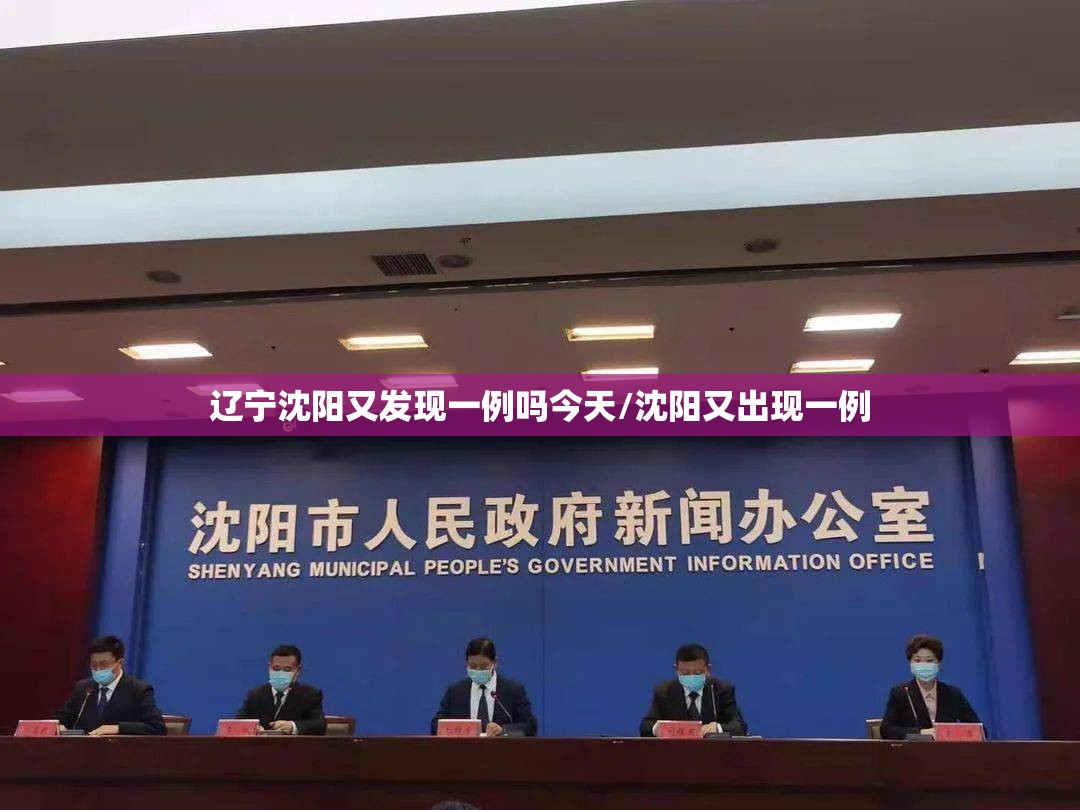 辽宁沈阳又发现一例吗今天/沈阳又出现一例