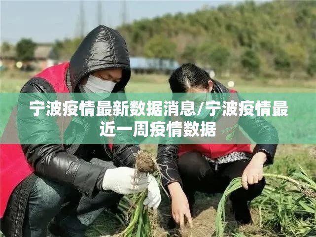 宁波疫情最新数据消息/宁波疫情最近一周疫情数据
