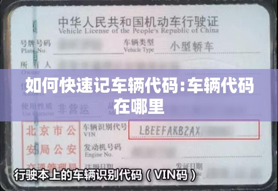 如何快速记车辆代码:车辆代码在哪里
