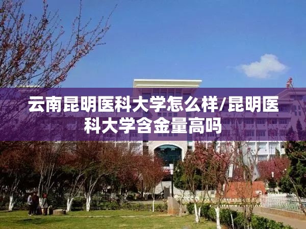 云南昆明医科大学怎么样/昆明医科大学含金量高吗 云南昆明医科大学怎么样/昆明医科大学含金量高吗