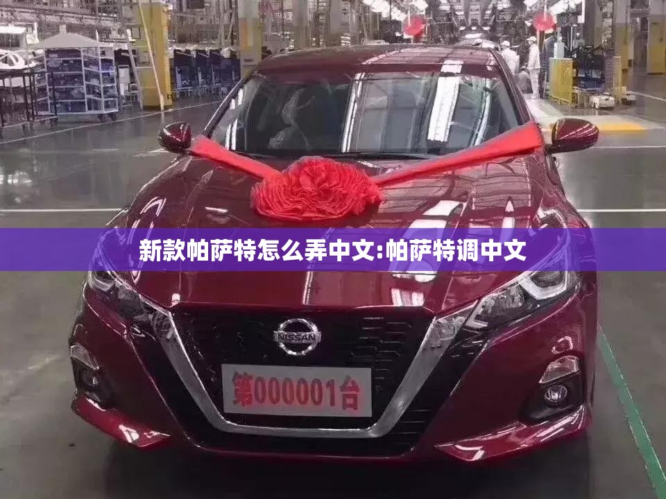 新款帕萨特怎么弄中文:帕萨特调中文