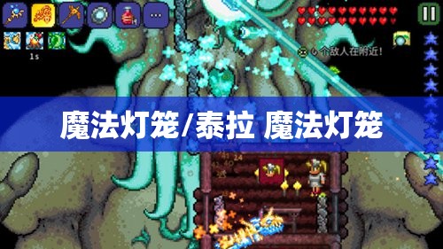 魔法灯笼/泰拉 魔法灯笼