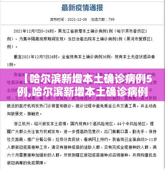 【哈尔滨新增本土确诊病例5例,哈尔滨新增本土确诊病例5例轨迹】 【哈尔滨新增本土确诊病例5例,哈尔滨新增本土确诊病例5例轨迹】