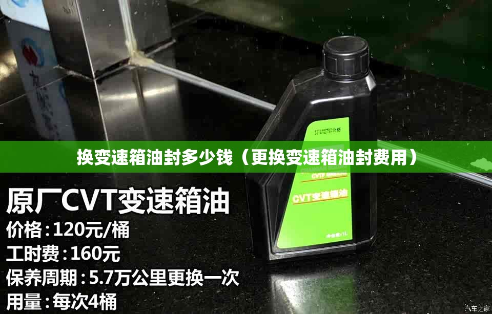 换变速箱油封多少钱（更换变速箱油封费用）