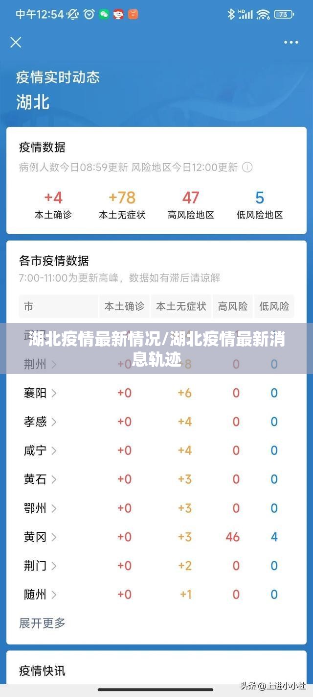 湖北疫情最新情况/湖北疫情最新消息轨迹