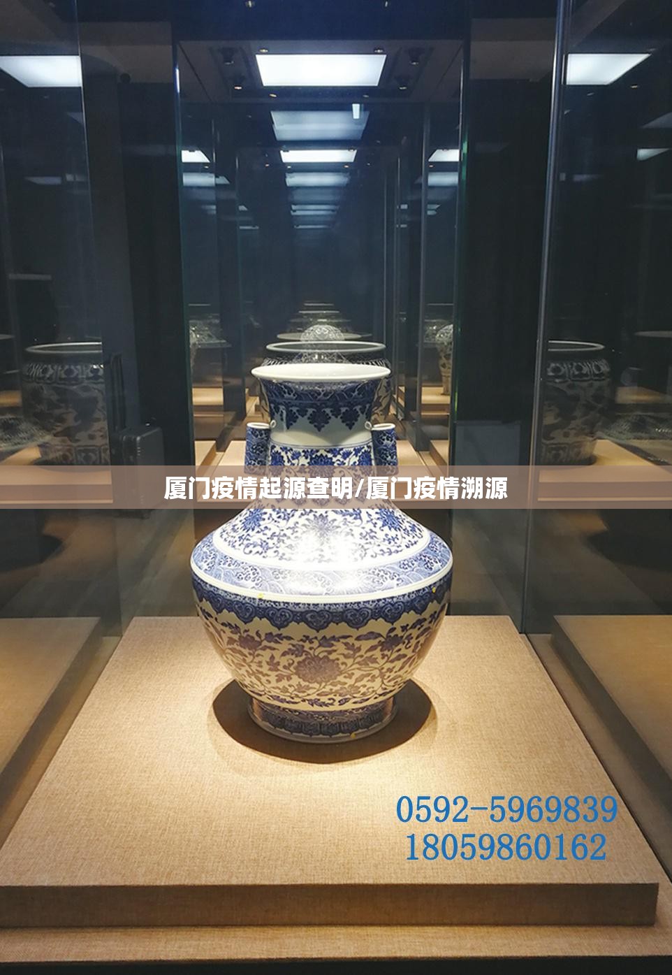 厦门疫情起源查明/厦门疫情溯源