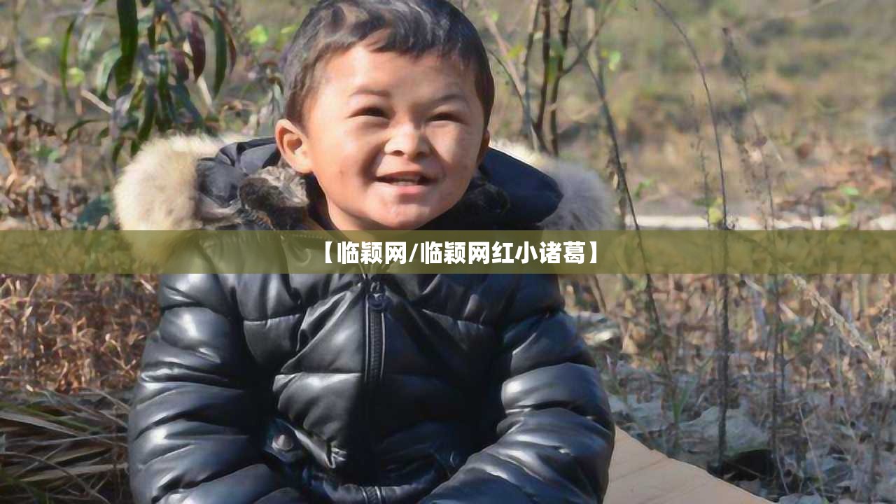 【临颖网/临颖网红小诸葛】