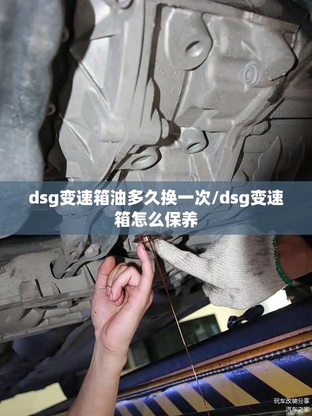 dsg变速箱油多久换一次/dsg变速箱怎么保养