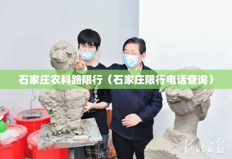 石家庄农科路限行（石家庄限行电话查询）