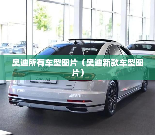 奥迪所有车型图片（奥迪新款车型图片）