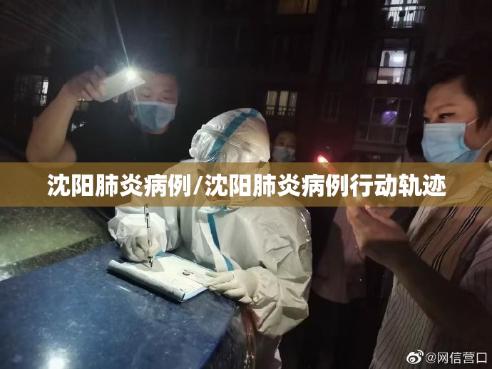 沈阳肺炎病例/沈阳肺炎病例行动轨迹
