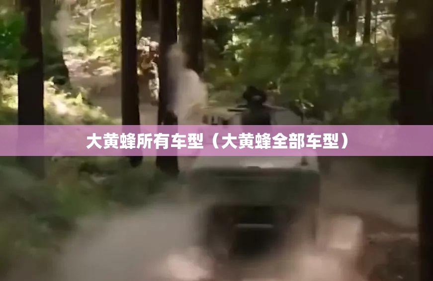 大黄蜂所有车型（大黄蜂全部车型）