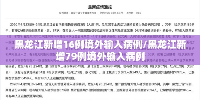 黑龙江新增16例境外输入病例/黑龙江新增79例境外输入病例