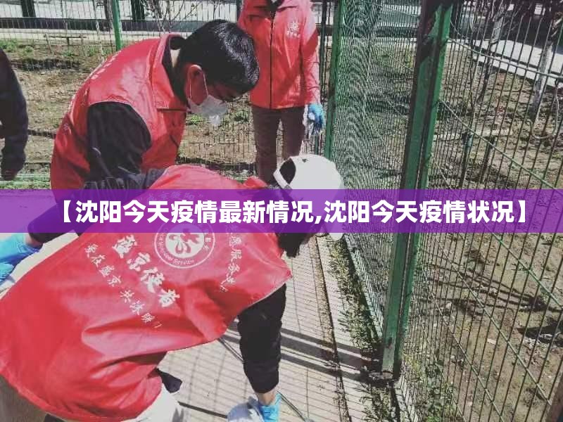 【沈阳今天疫情最新情况,沈阳今天疫情状况】