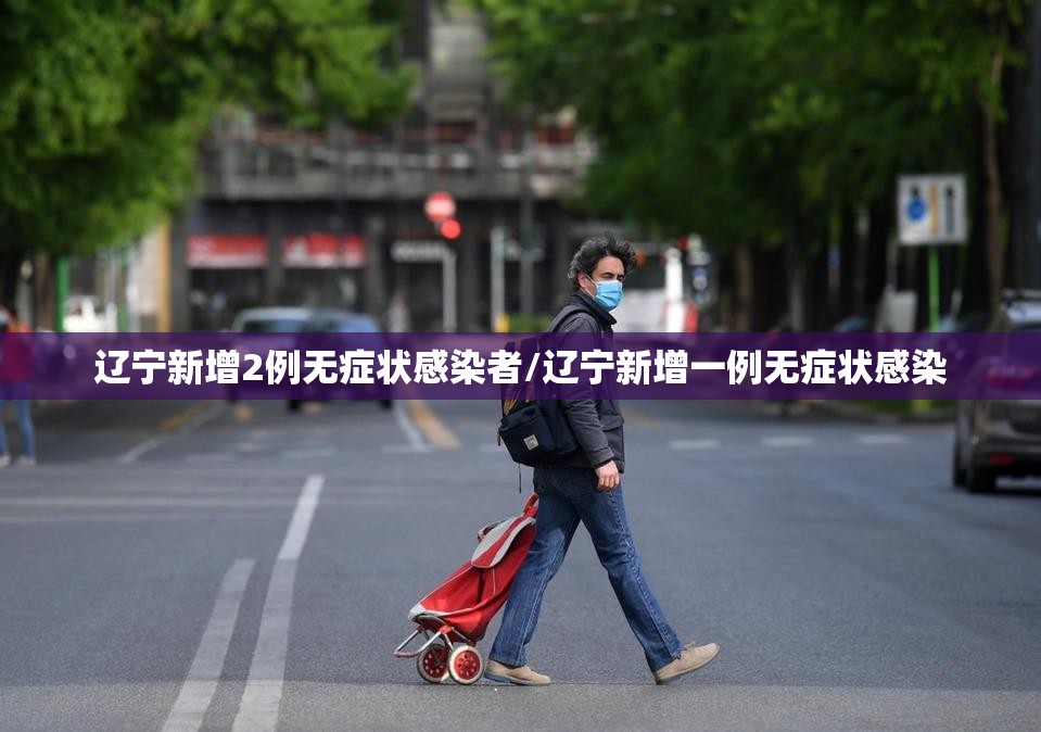 辽宁新增2例无症状感染者/辽宁新增一例无症状感染