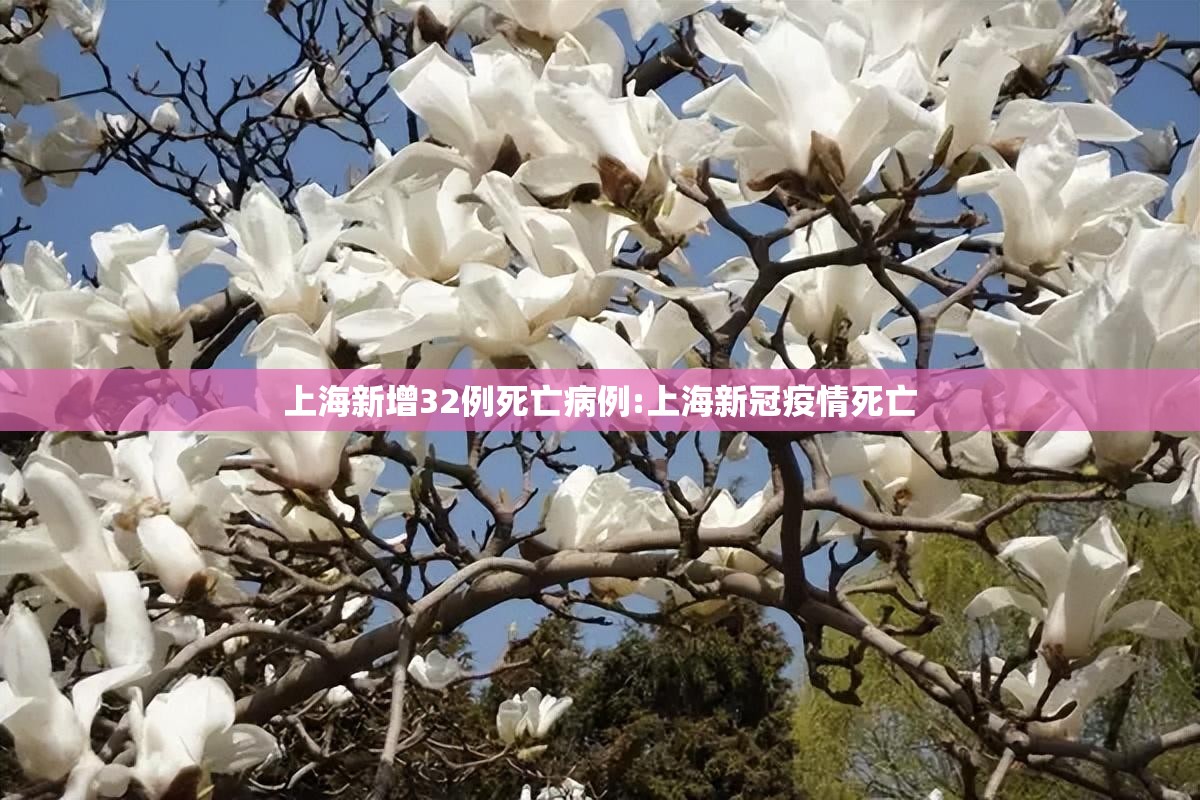 上海新增32例死亡病例:上海新冠疫情死亡