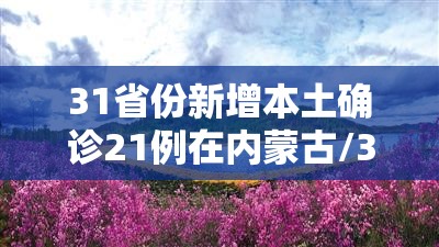31省份新增本土确诊21例在内蒙古/31省份新增9例本土2例在内蒙古